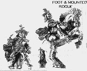 c33offerrogue-fly198607rx