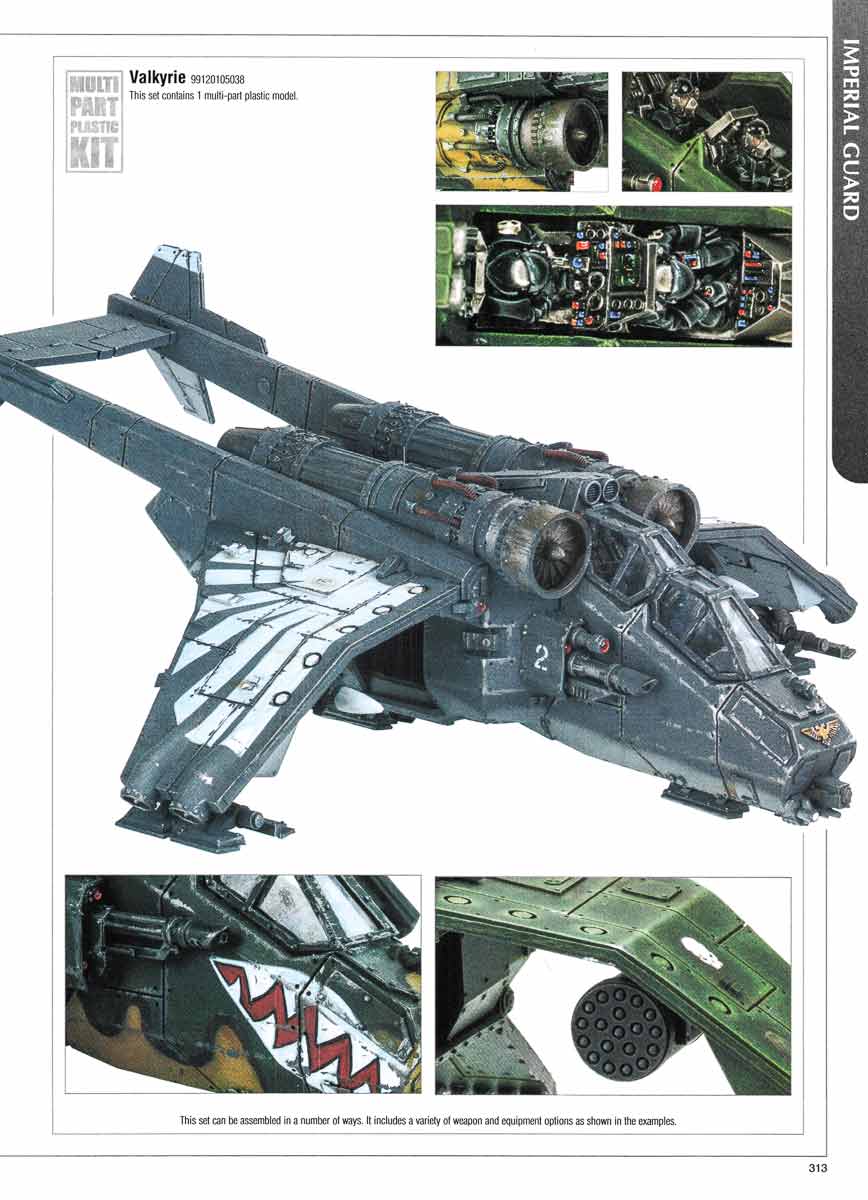 click to return to small image: c2010p0313-01.htm.