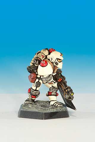 LE2 Imperial Space Marine